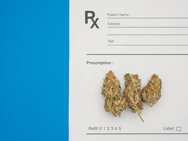 青の背景に乾燥したマリファナのつぼみが処方箋シートの上に咲く - crime medicine narcotic rx ストックフォトと画像