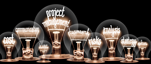 Photo of light bulb group with shining fibers in a shape of PROJECT MANAGEMENT concept related words isolated on black background
