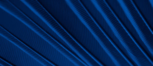 istock red feather tit macro photo. texture or background 1639991246