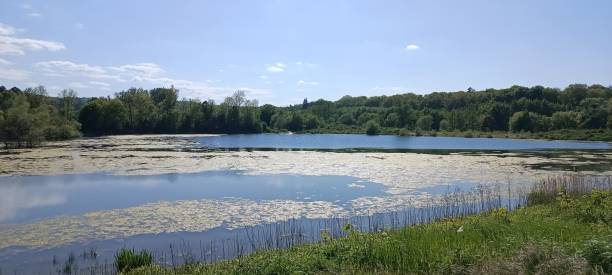 istock a calm lake in germany 1640000337