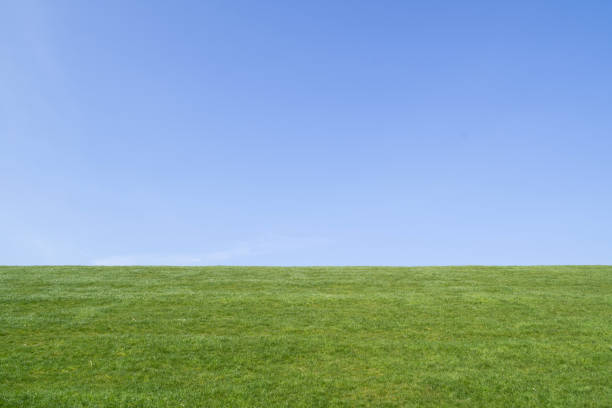 istock dike in North Frisia, Germany 1640015464