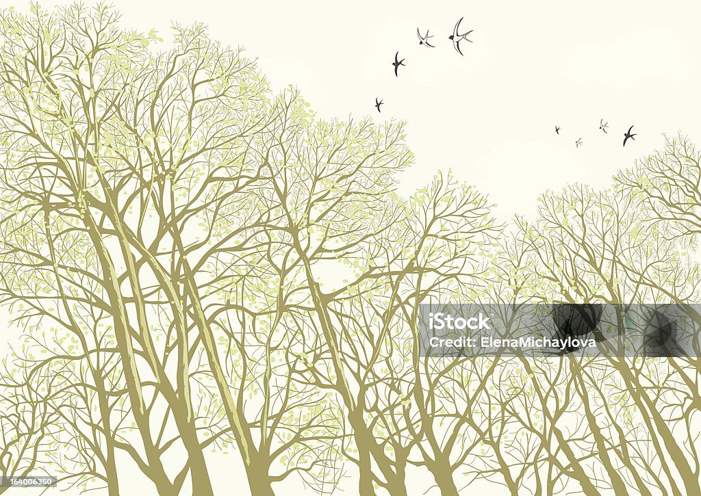 Trees Intertwined branches of bare trees against cloudy sky in springtime Treetop stock vector