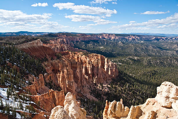 White, Red Hoodoos and Forested Canyon Bryce Canyon is famous for its tall thin spires of rock known as hoodoos. Hoodoos start with an initial deposition of rock. Then over time the rock is uplifted then eroded and weathered. Hoodoos typically consist of relatively soft rock topped by harder, less easily eroded stone that protects each column from the weather. Hoodoos generally form within sedimentary rock such as sandstone. These hoodoos were photographed from Rainbow Point in Bryce Canyon National Park, Utah, USA. jeff goulden bryce canyon national park stock pictures, royalty-free photos & images