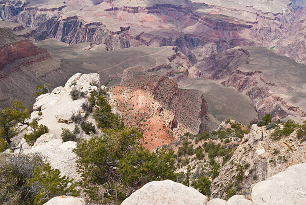 Looking Down into the Canyon The Grand Canyon is a steep-sided canyon carved by the Colorado River. It is 277 miles long, up to 18 miles wide and attains a depth of over a mile. The canyon and adjacent north and south rims are contained within Grand Canyon National Park, the Kaibab National Forest, Grand Canyon-Parashant National Monument, the Hualapai Indian Reservation, the Havasupai Indian Reservation and the Navajo Nation. In the Grand Canyon the carving of the Colorado River has exposed nearly two billion years of the earth's geological history and created some stunning scenery. This scene was photographed from Yavapai Point in Grand Canyon National Park, Arizona, USA. jeff goulden grand canyon national park stock pictures, royalty-free photos & images