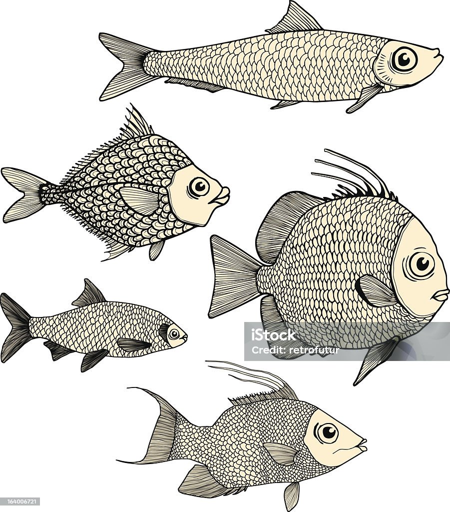 Hand Draw Fish Hand Draw Fish Stock Illustration - Download Image Now - Animal, Animal ...