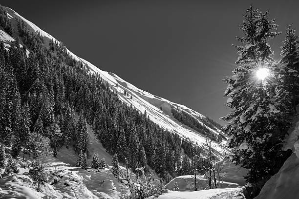istock winter landscape with sun shining 164006732