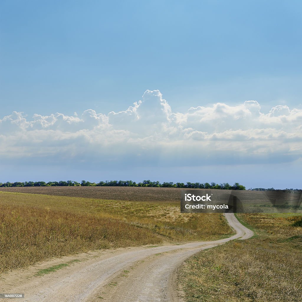dirty carretera y azul cielo nublado - Foto de stock de Agricultura libre de derechos