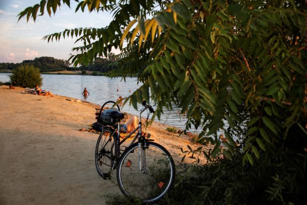 Vienna, Austria - 08 18 2023: people relaxing on a sand beach on the Vienna Danube island in summer