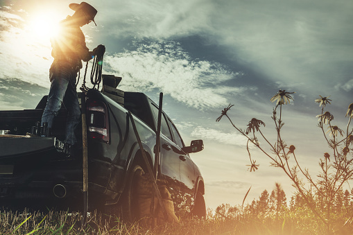 Caucasian American Cowboy Rancher Preparing Ropes on Back of His Pickup Truck