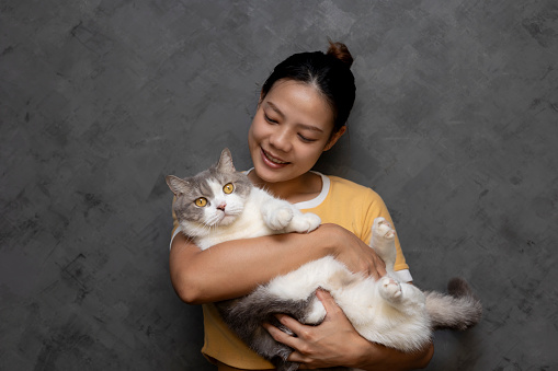 Beautiful Asian woman holding cat with black background. Asian girl hugging a cat to show love for pets. Love for domestic pets. Cat with people in house.People doing activities with pet.