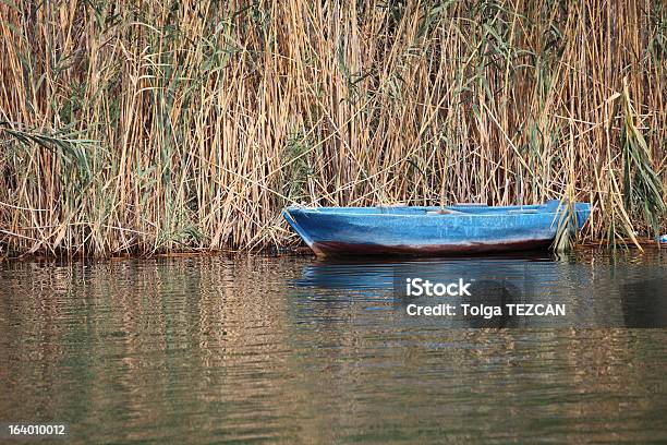 Photo libre de droit de Bateau À Rames banque d'images et plus d'images libres de droit de Activité de loisirs - Activité de loisirs, Bateau à rames, Beauté de la nature