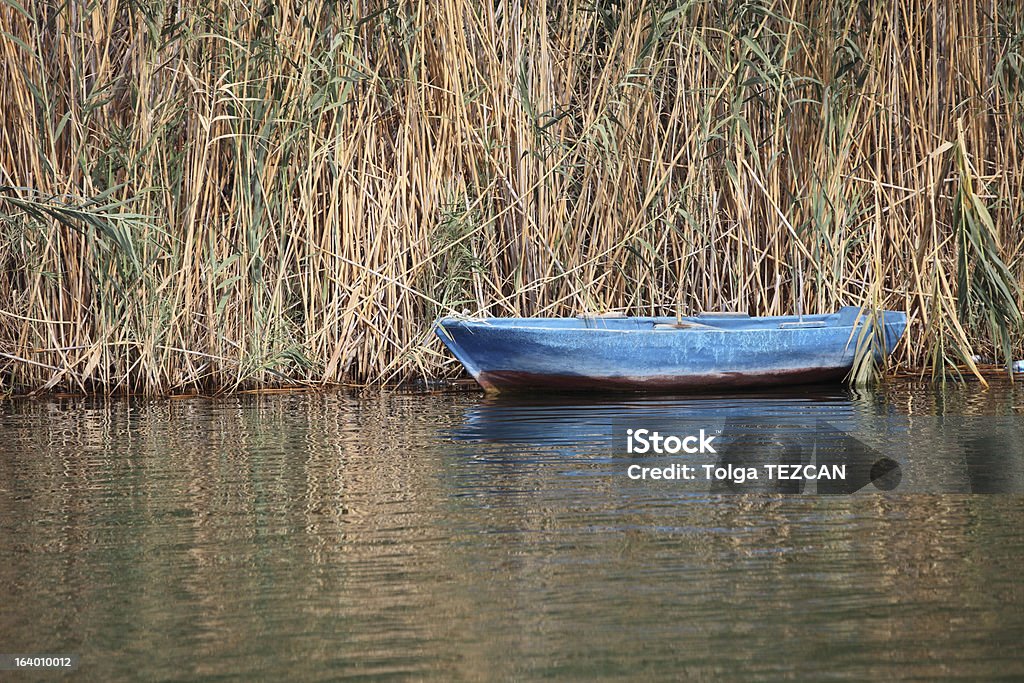 Barco a remo - Foto de stock de Atividade Recreativa royalty-free