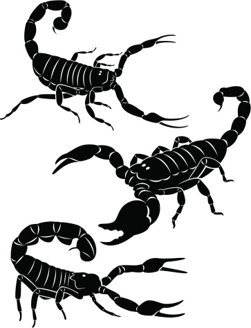 Scorpio is depicted in Figure