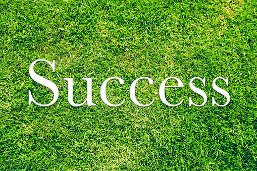 top angle view of the word success written on grass