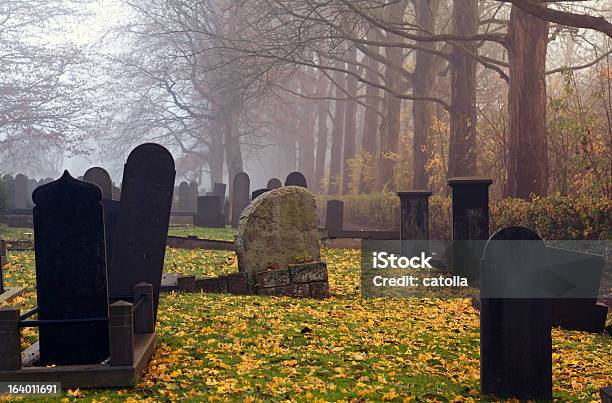 Cimitero Con Nebbia In Autunno - Fotografie stock e altre immagini di Cimitero - Cimitero, Grande gruppo di oggetti, Albero