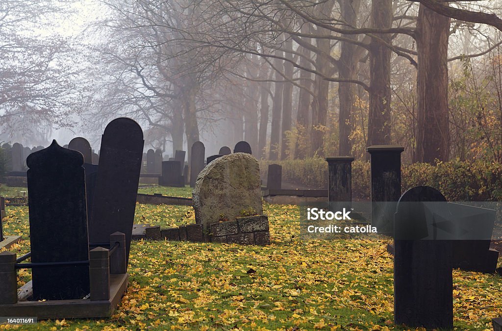 Cmentarz z mgły w jesiennym - Zbiór zdjęć royalty-free (Cmentarz)