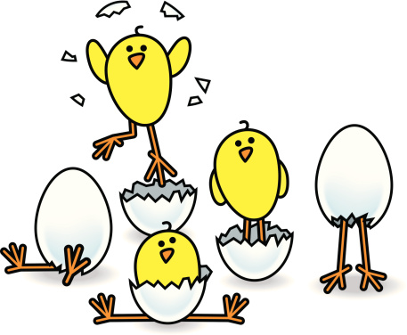 Divertido recién nacido de dibujos animados pollito saliendo del huevo vector gratis Divertido recién nacido de dibujos animados pollito saliendo del huevo vector gratis