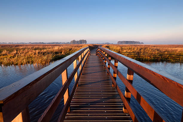 istock wooden bridge through canal 164012919