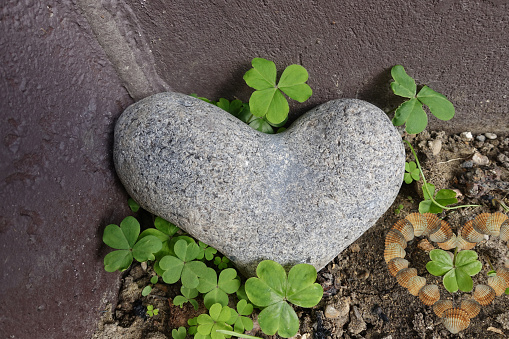 Stone and shells in the shape of a heart in the garden of the house