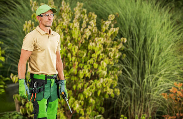 istock Happy Professional Caucasian Gardener with Tools in His Hands 1640142312