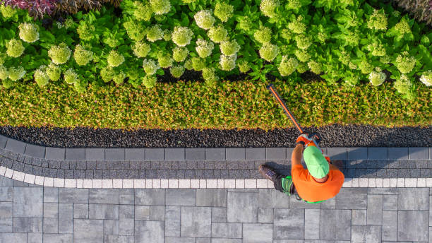istock Professional Garden Keeper Shaping Driveway Shrub 1640147209