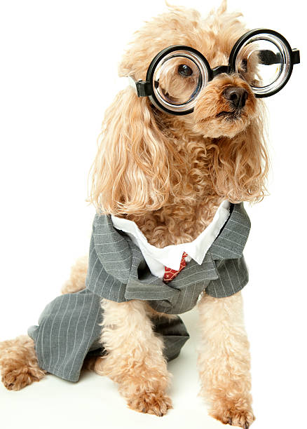 istock Really Nerdy Businesswoman 164018146