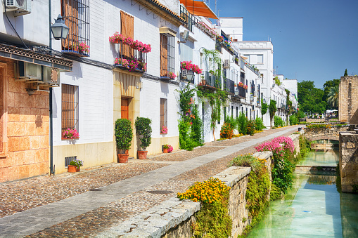 Scenic sight in the picturesque street of Cordoba, Andalusia, Spain