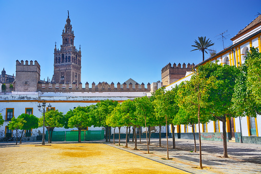 The Cathedral of Saint Mary of the See is a Roman Catholic cathedral in Seville, Spain