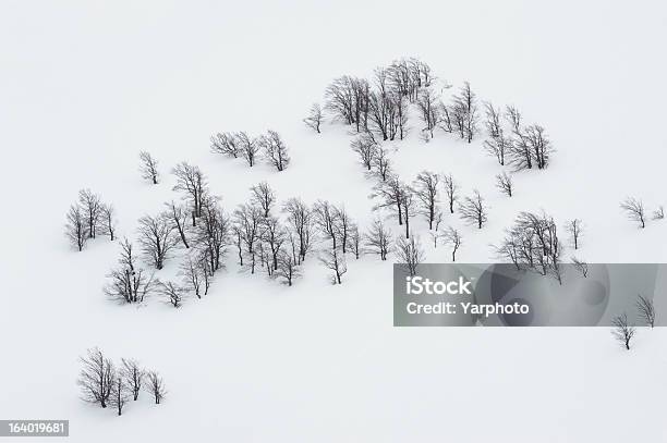 Negro Sobre Blanco O Ingravidez Foto de stock y más banco de imágenes de Aire libre - Aire libre, Aislado, Campo - Tierra cultivada