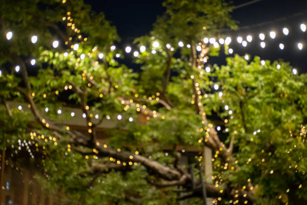 istock Blurred image bokeh of lighting in the garden 1640237449
