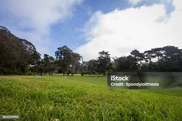 Parque Golden Gate - Fotografias de stock e mais imagens de Ao Ar Livre - Ao Ar Livre, Arbusto, Azul