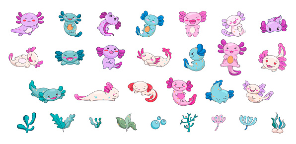 Axolotl cute kawaii character. Underwater plants and algae. Vector illustration. Collection design elements.