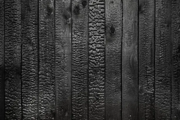 Photo of Texture  Background of burned black wood planks used as wall decoration