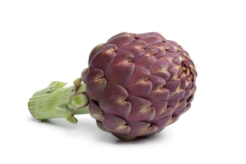 Single purple artichoke on white background