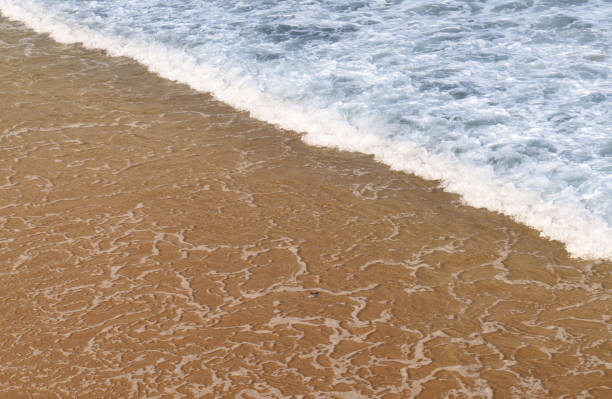 white background of a beach with waves in the ocean