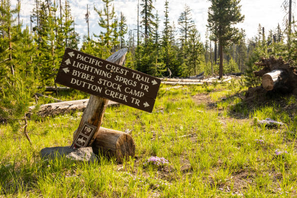 Pacific Crest Intersection at Lightning Springs Trail in Crater Lake National Park