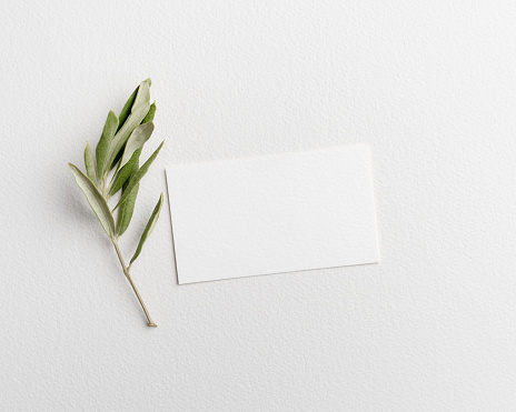 Business card, gift tag, sale tag, address label, Empty white business card