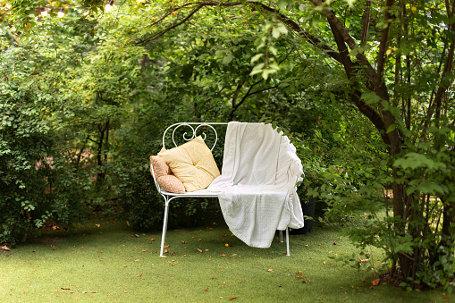 White bench with plaid and pillow in summer garden for relax. Classical decorative wrought iron garden bench. Cozy garden corner. Interior Patio of house with garden furniture. Autumn outdoor rest.