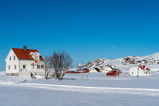 Small village at Torsfjorden fjord on island of Moskenesøya in the Lofoten archipelago in Nordland county in winter.