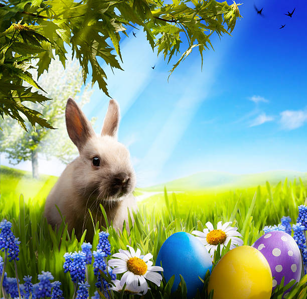 istock art osterhase and Easter eggs on green grass 164037555