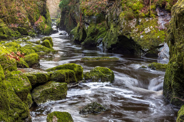 Fairy Glen gorge in Snowdonia Wales