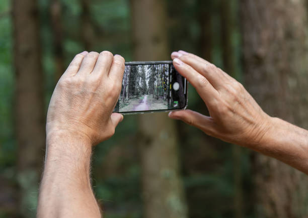 istock hands holding phone, taking photo of forest nature 1640426295