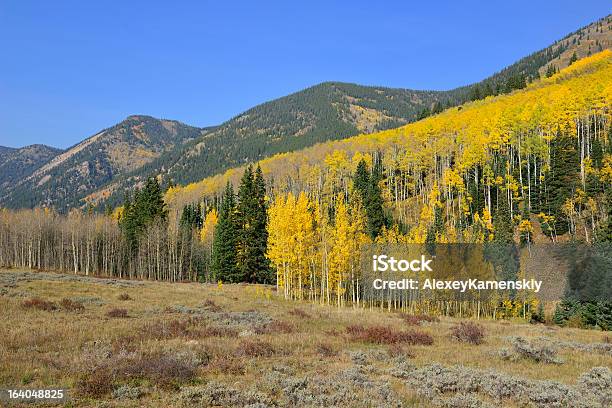 Taylor Aprobado Cerca De Aspen En Castle Creek Road En Colorado Foto de stock y más banco de imágenes de Aire libre