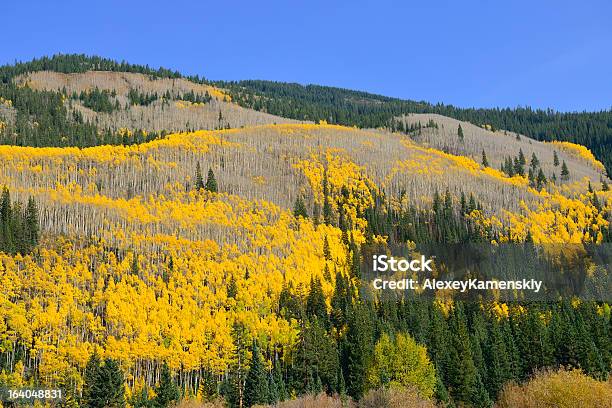 노란색 및 초록색 아스펜과 Of Colorado 0명에 대한 스톡 사진 및 기타 이미지 - 0명, 9월, 가을