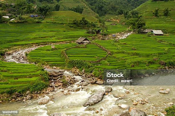 Foto de Lao Cai Village e mais fotos de stock de Agricultura - Agricultura, Ajardinado, Aldeia