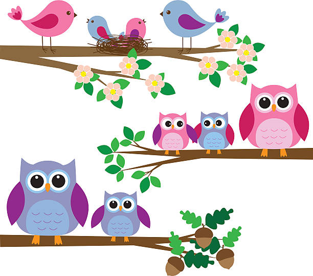 семьи birds and owls - owl young animal bird mother stock illustrations