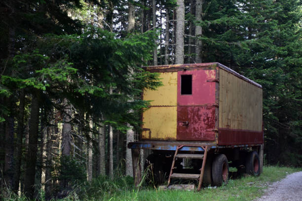 istock Old truck trailer in the forest. 1640494226