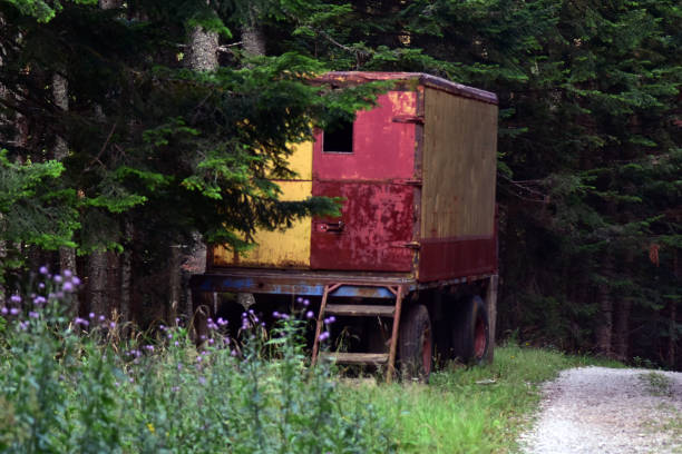 istock Old truck trailer in the forest. 1640494227