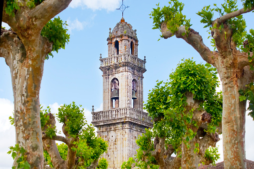 Santa María church bell tower close-up, Beade, Ribeiro area,  Ourense province, Galicia, Spain. Built in 16th century, baroque style facade. Plane trees promenade in the foreground.
