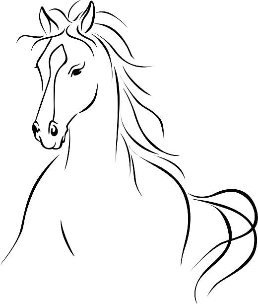 horse illustration vector art illustration